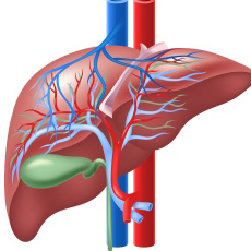 Bile Duct Cancer